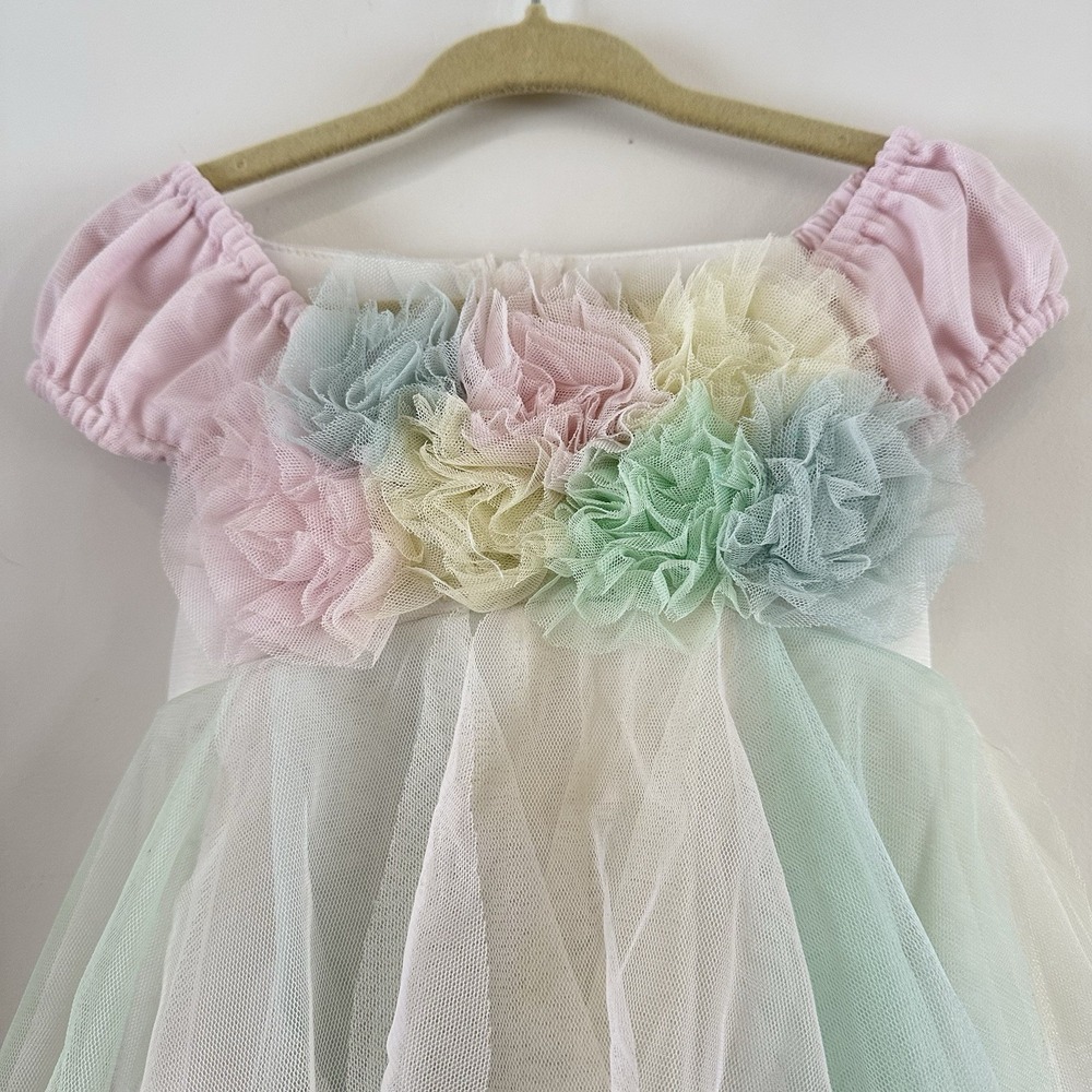 Biscotti Collezioni Baby Girl Dress Pastel Tulle Floral 24 Mos Pink Green Yellow - Picture 3 of 6